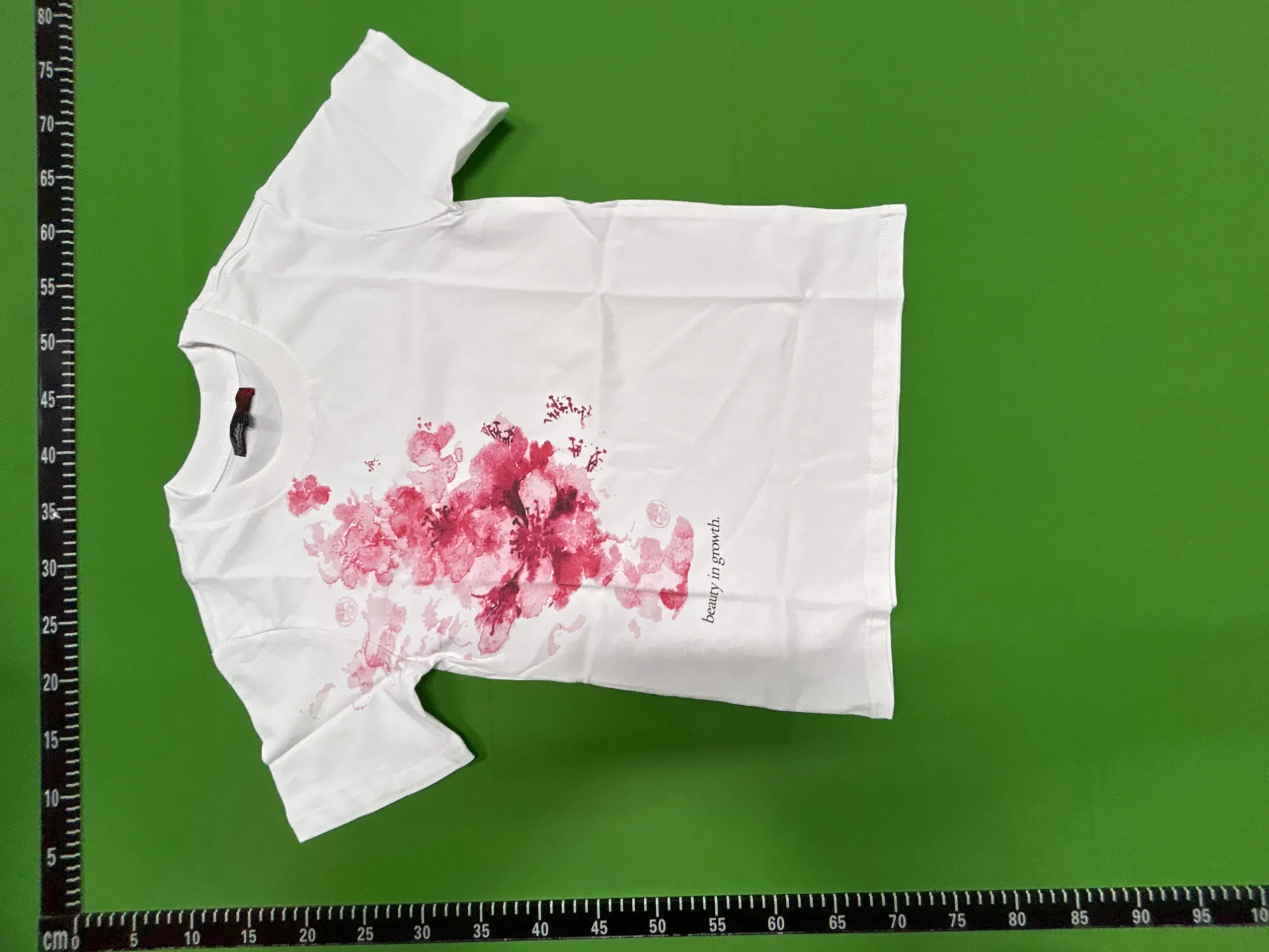 QC photo 4
