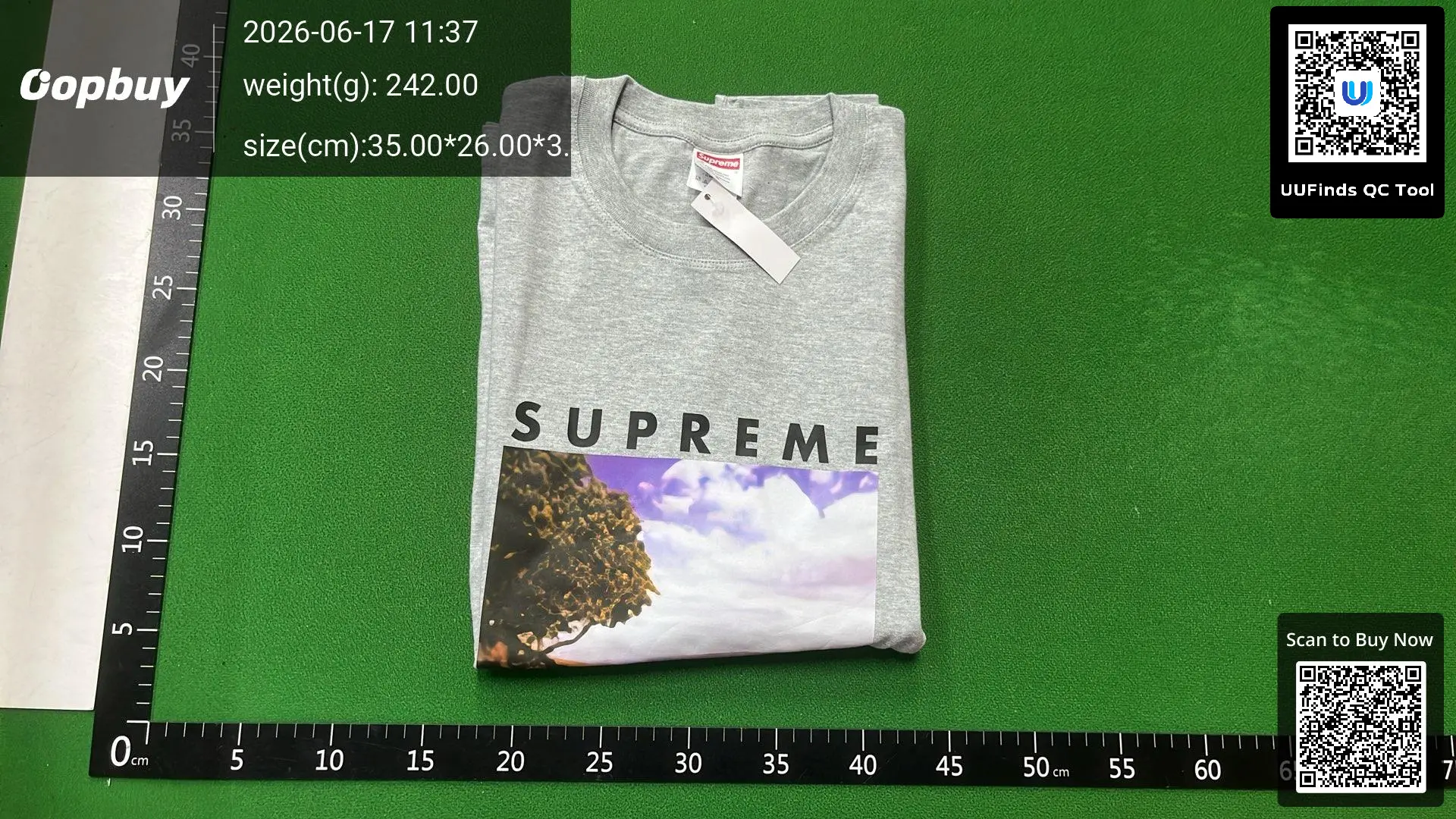 QC photo 3