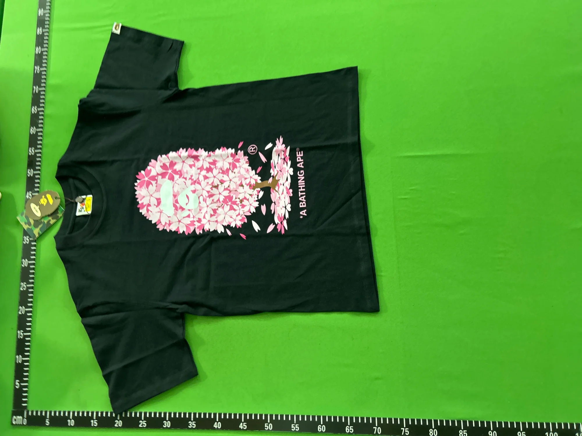 QC photo 3