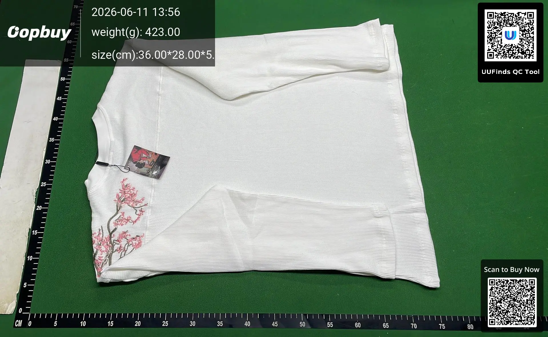 QC photo 2