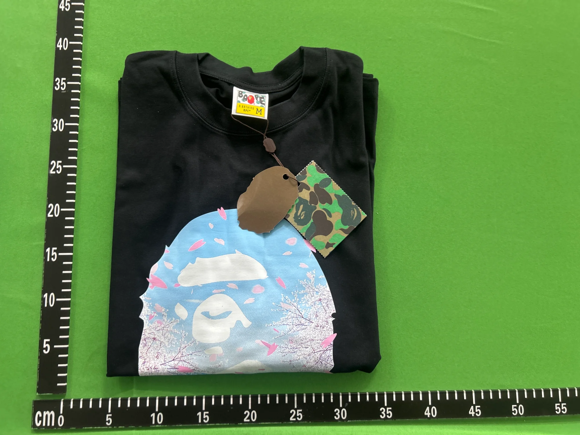 QC photo 5